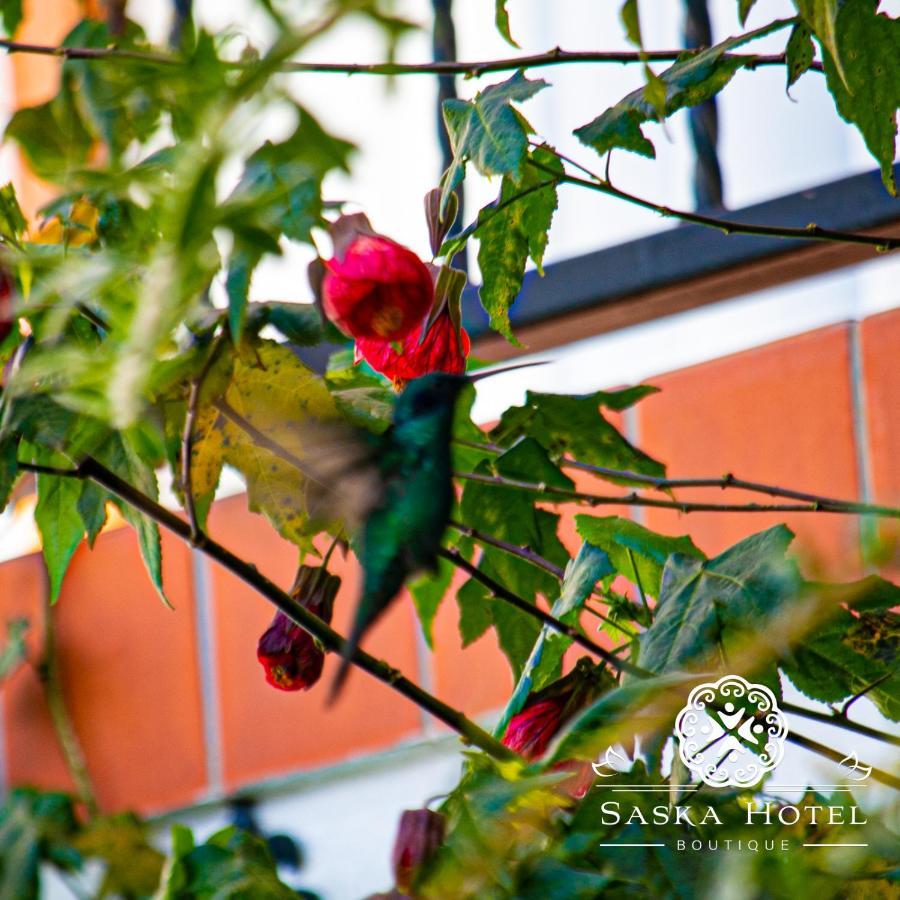 קוסקו Saska Boutique Hotel מראה חיצוני תמונה