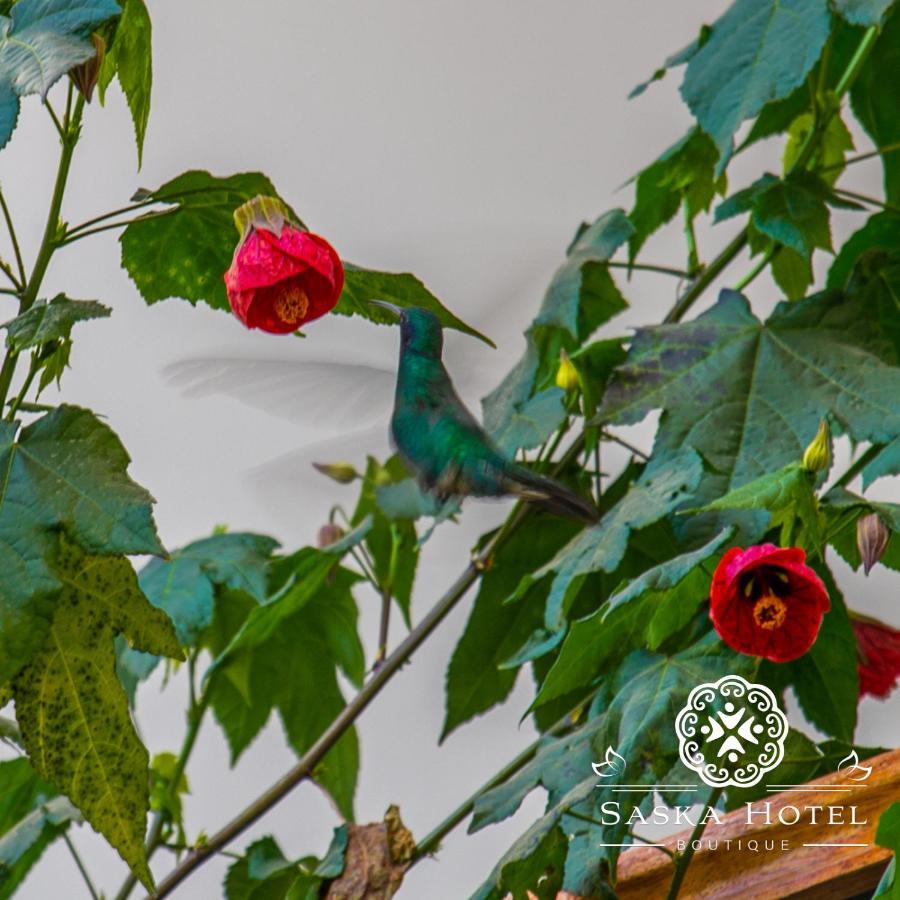 קוסקו Saska Boutique Hotel מראה חיצוני תמונה